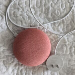 Google Mini Coral Smart Speaker